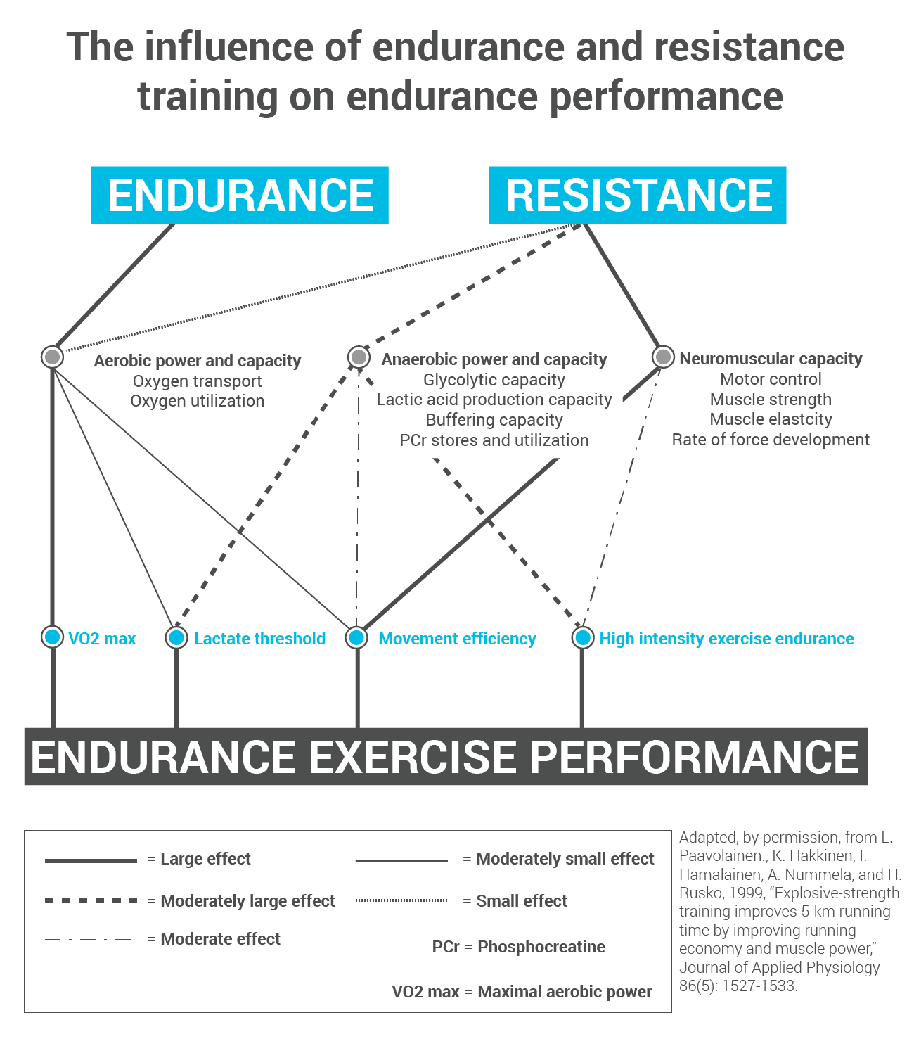 The Strength Behind Endurance Running